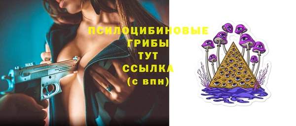 ПСИЛОЦИБИНОВЫЕ ГРИБЫ Алексеевка