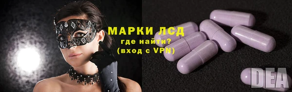 индика Нязепетровск
