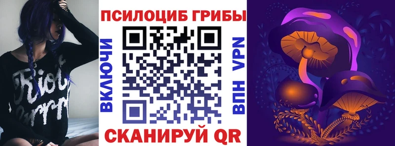 где продают   omg зеркало  Галлюциногенные грибы Magic Shrooms  Талица 